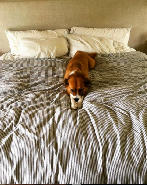 30th September I mean...