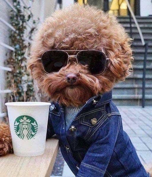 Happy birthday Jeff Lynne, 73 today. 