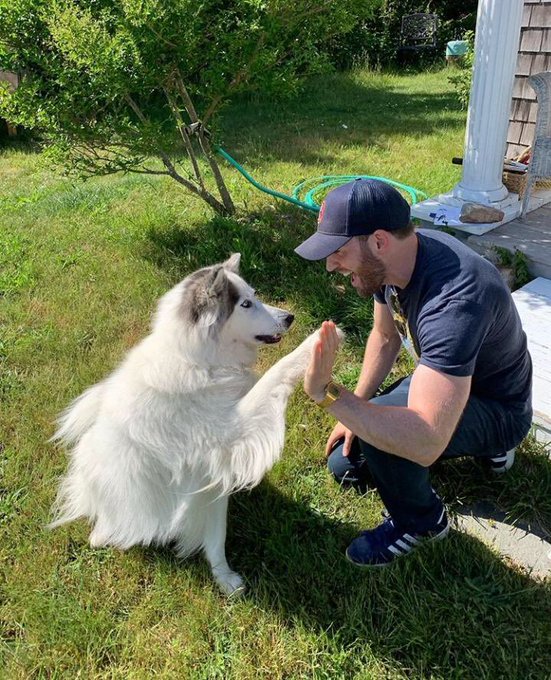 26th August National Dog Day