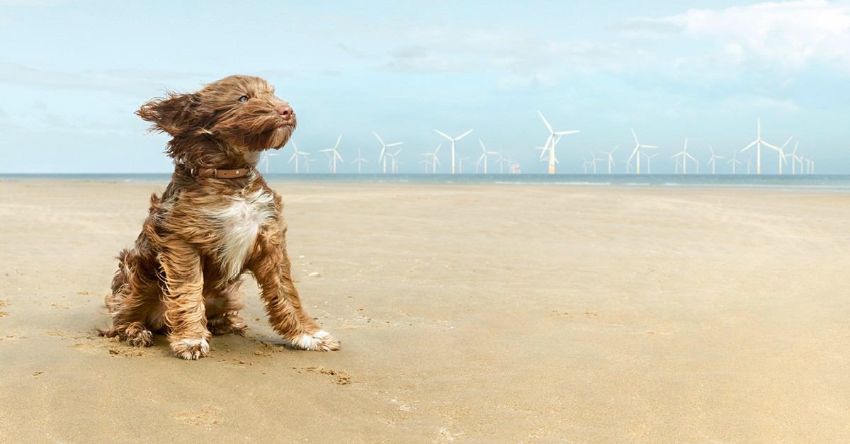Een terugblik op 2020. Omgaan met teleurstellingen. Kijken naar wat wel kan. De balans weer terugvinden. Uitkijken naar 2021.

linkedin.com/posts/mlgast_f…