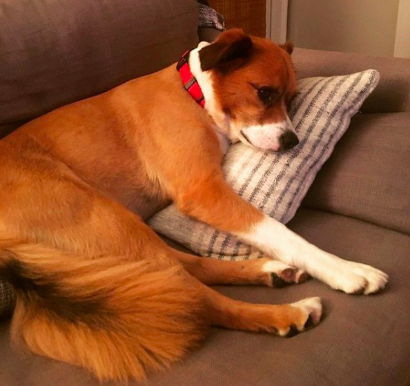 25th October He’s watching tv. Like this. I mean...