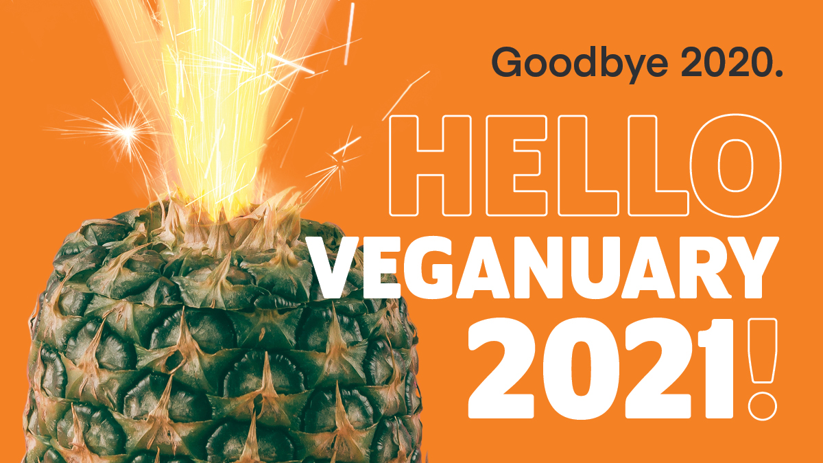 #Veganuary2021 is here! Keep an eye on this page over the next mth as alongside your daily emails, we'll be sharing lots of useful Info to help you on your #plantbased journey 🙌 Plus we'll be letting you know all about the latest vegan products being released this month 😋