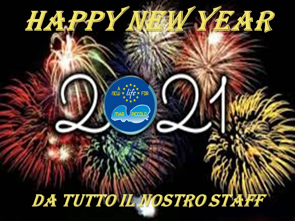 Life4MarPiccolo tweet media