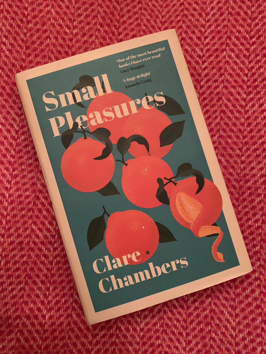In joint 1st place (because I genuinely could not pick between them) is...  #SmallPleasures by  @ClareDChambers (thank you to  @gigicroft for my copy). I was smitten with Jean & I sat for some time staring out the window when I’d finished it, I was bereft to leave it! 
