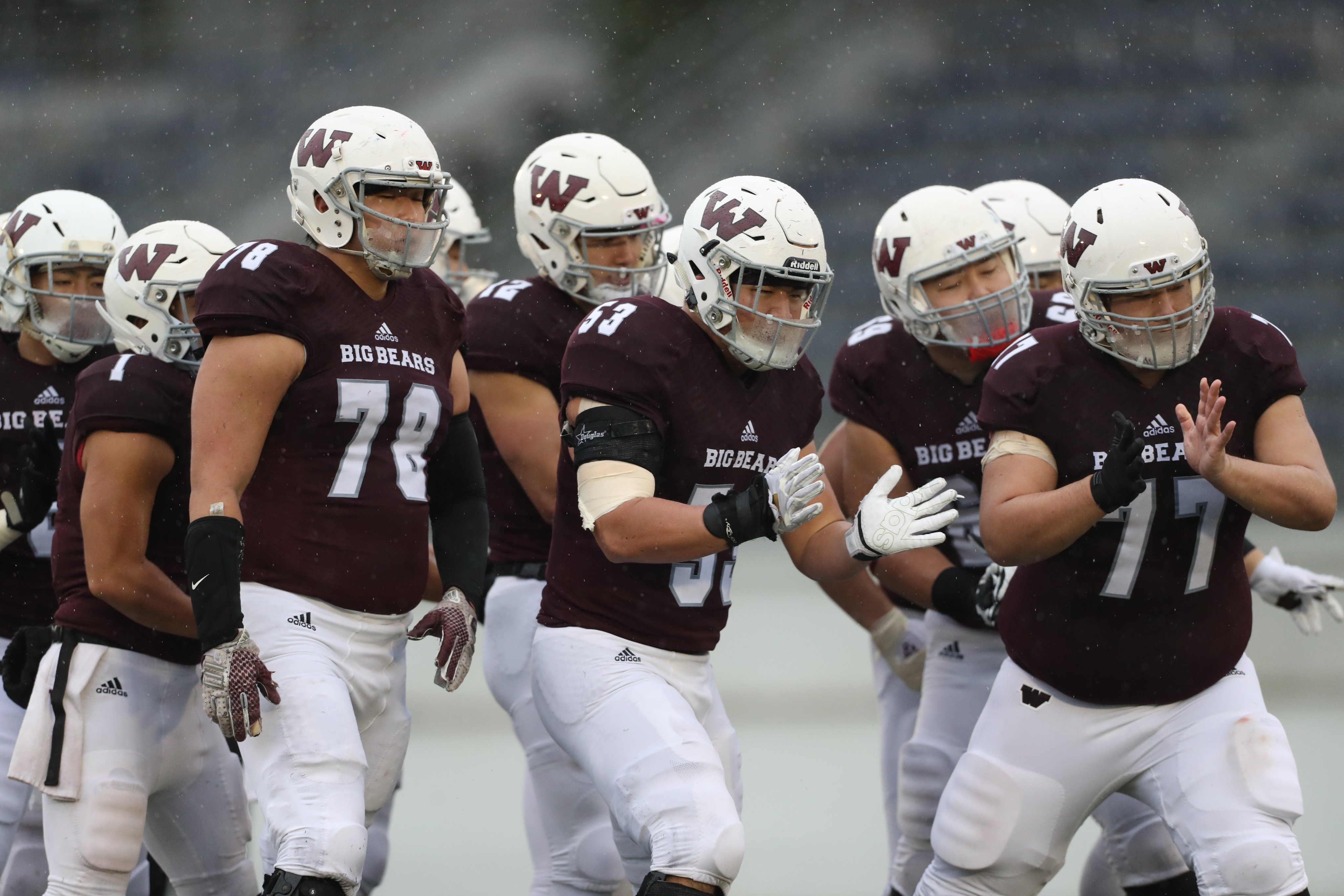 adidas×早稲田“BIG BEARS“チームトレーニング用ロンT MDサイズ adidas×早稲田“BIG BEARS“チームトレーニング用ロンT MDサイズ