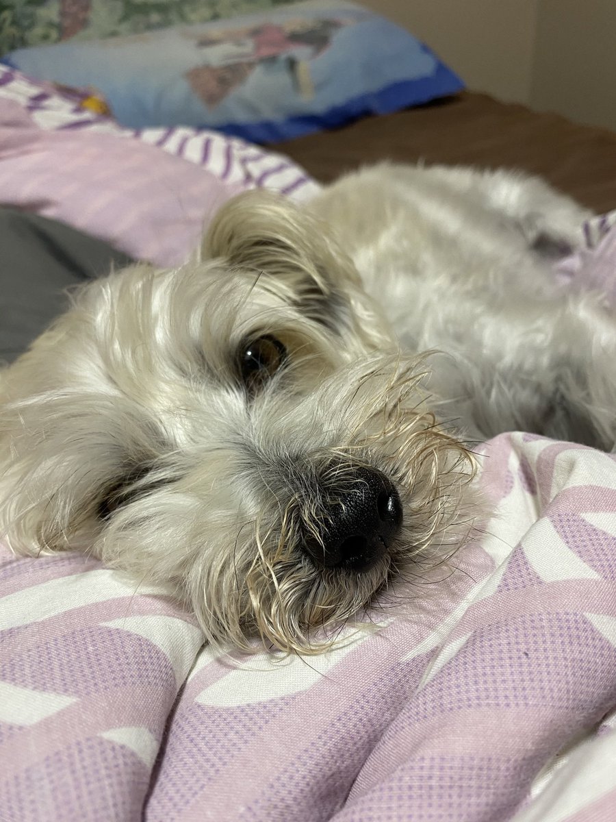 And of course, this boy.