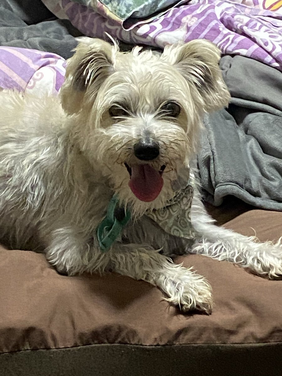 And of course, this boy.