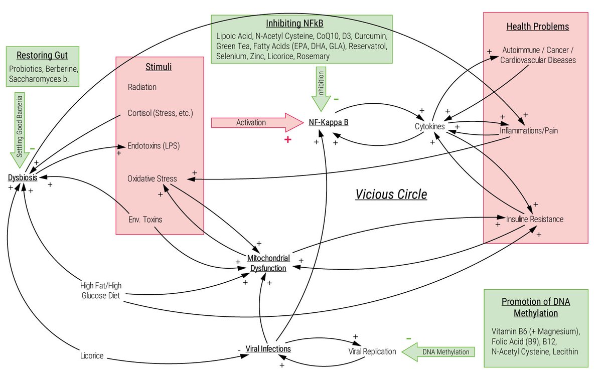 7/ This graphic shows that there are many other scientifically proven methods to prevent and viral infections and replications.