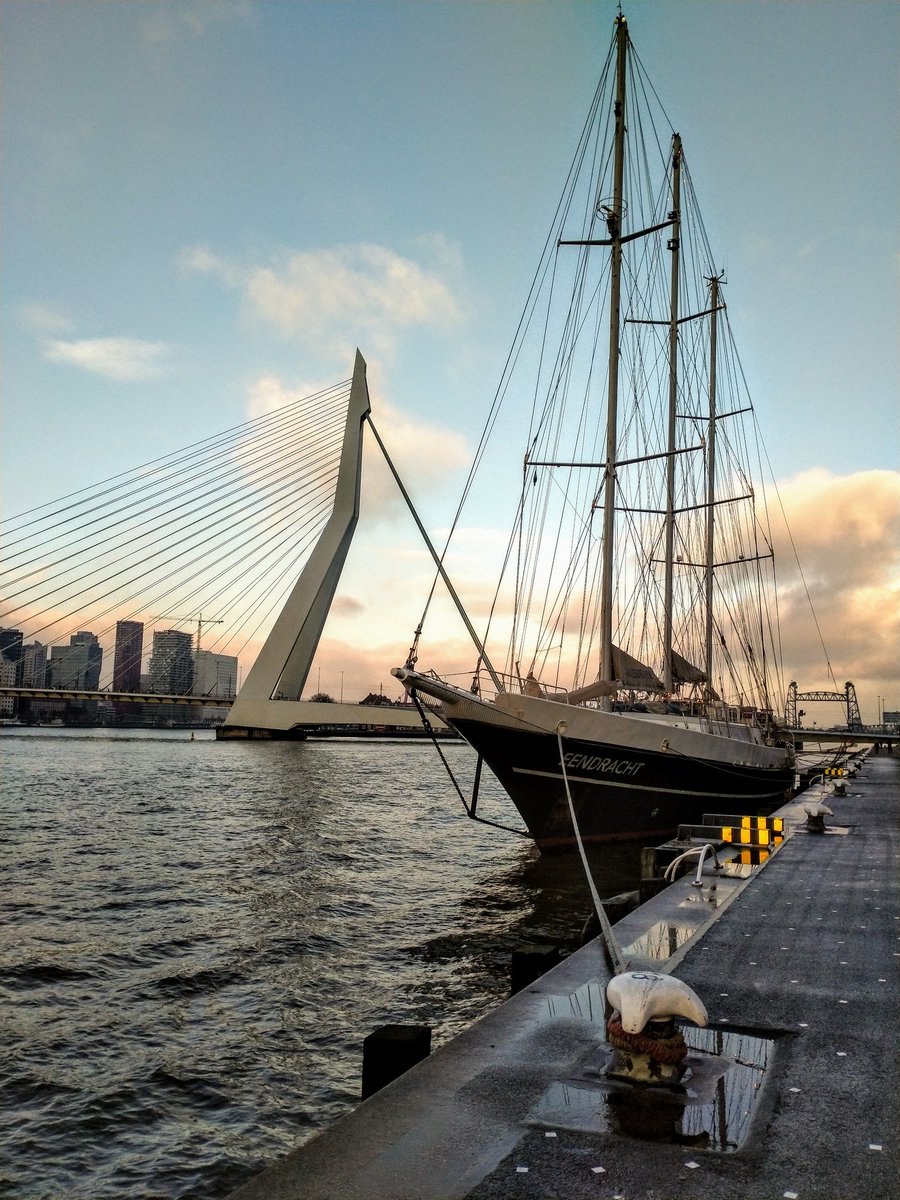 Blijdorper 🐧 tweet media