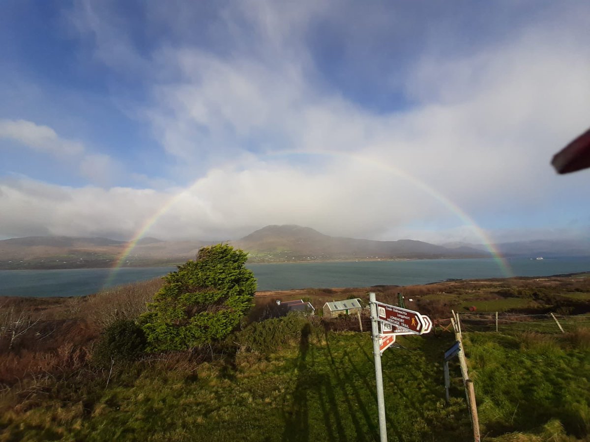 Paula Cogan tweet media