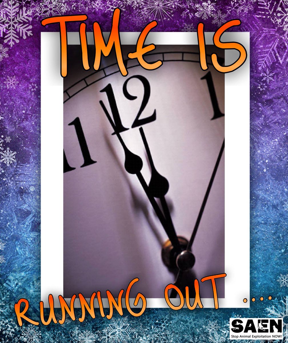 SAENonline's tweet photo. PLEDGE to END ANIMAL EXPERIMENTATION with your tax deductible donation. Thank you!

Donate @ https://t.co/EuAYFcPVdA

#SAENonline #newyear #donate #newyearseve https://t.co/oI1DuYueMG