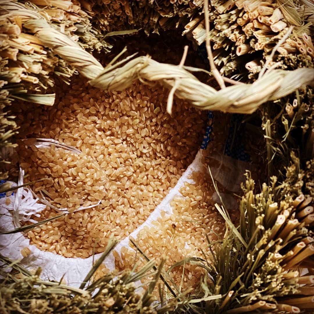 Back in the old days all rice grew with enough straw to make its own containers for storage and shipping. When you finished one of these you could simply feed it to your livestock, use it to make New Year's, rope, winter gear, compost or fuel. Plastic just becomes toxic garbage.