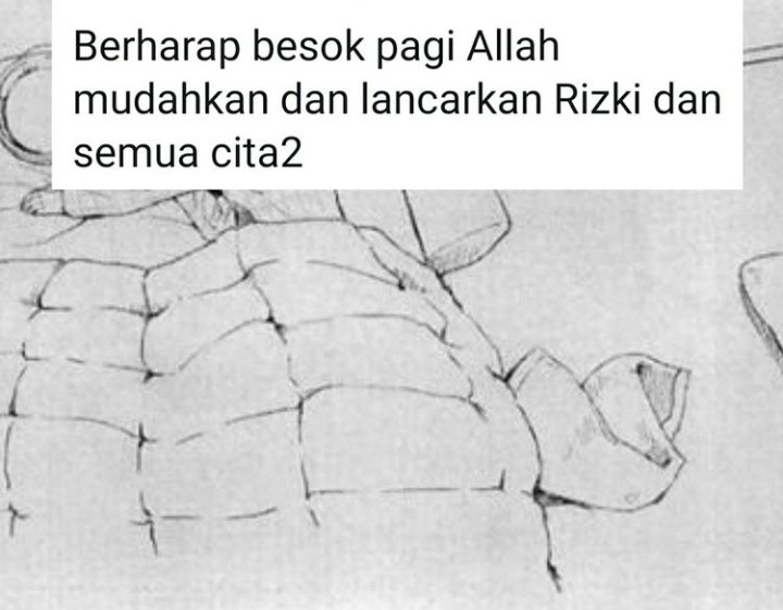 LA (@officialluthfan) on Twitter photo 