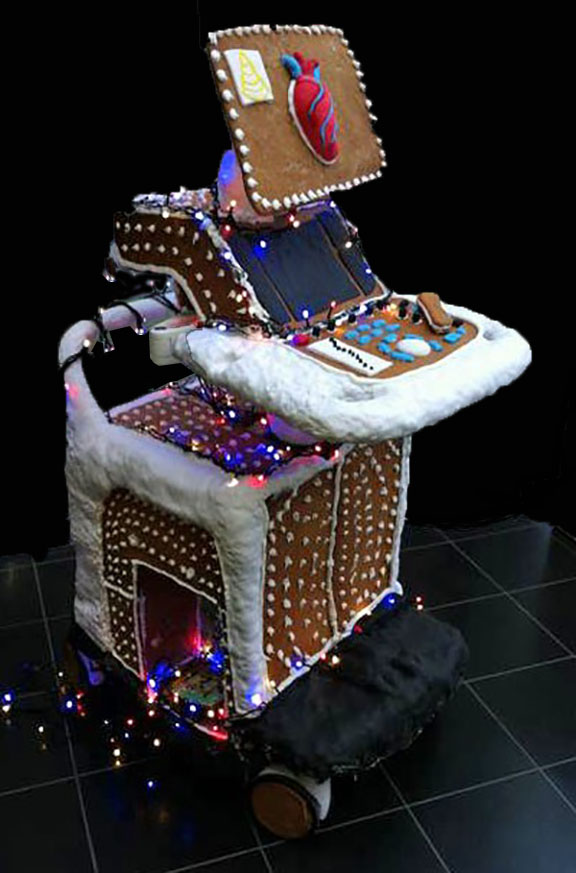 With the Vivid Gingerbread Edition created by our engineers a few years back; Happy New Year all Echo friends.
