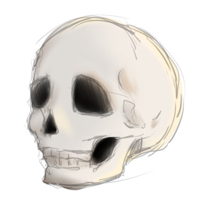 骸骨のtwitterイラスト検索結果 骸骨のtwitterイラスト検索結果