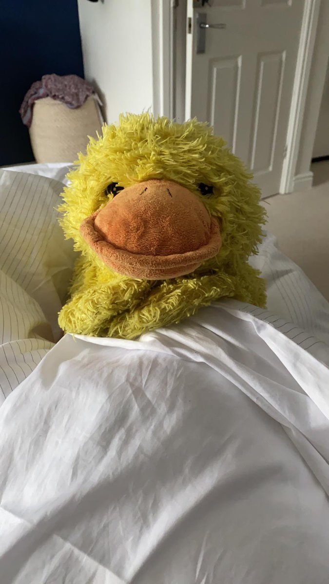 Howard_Flufflet's tweet photo. It’s so cold nowadays, I just want to stay at home and snuggle. It’s been such a strange year but I’m grateful for the time spent with my family. I love them very much. Stay safe everyone. #SaveLives and #StayAtHome #HappyNewYear2021 #yourflufflet https://t.co/UCAxafecTn