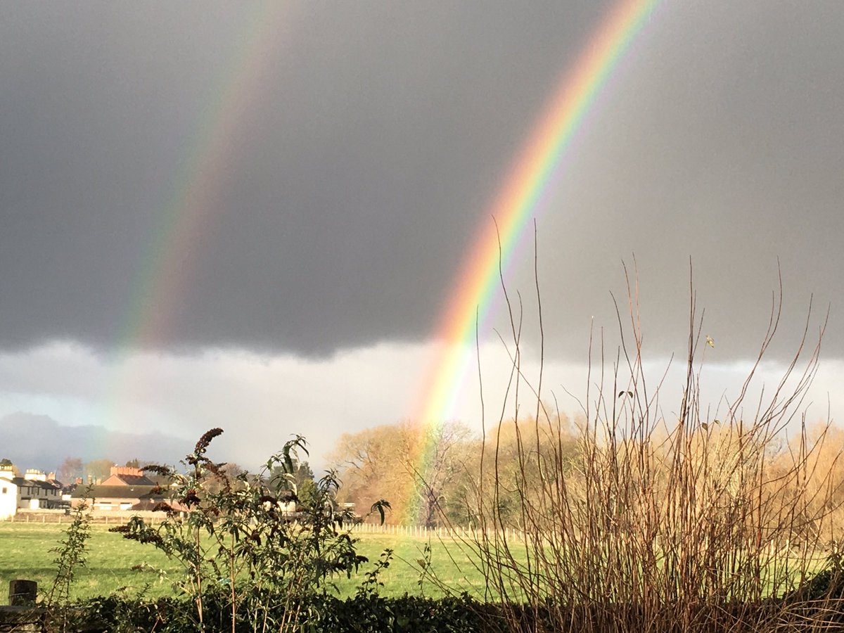 OlwenOlwen's tweet image. #HopeFor2021