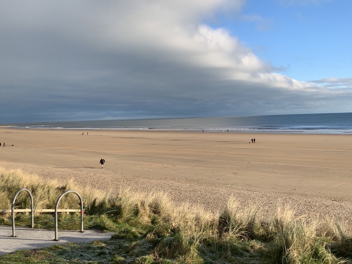 Bill MacLeod tweet media