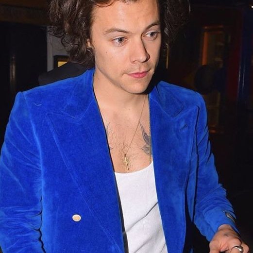 Louis Adidas beside Harry's Gucci suits outfits..~A thread~