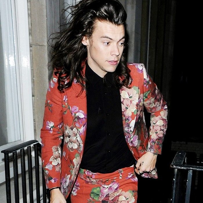 Louis Adidas beside Harry's Gucci suits outfits..~A thread~