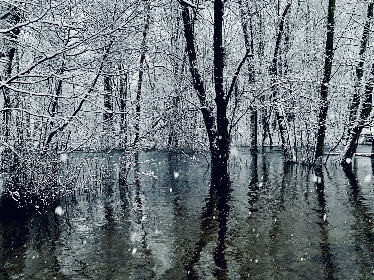 Vi ønsker alle elvevenner et godt nytt år!