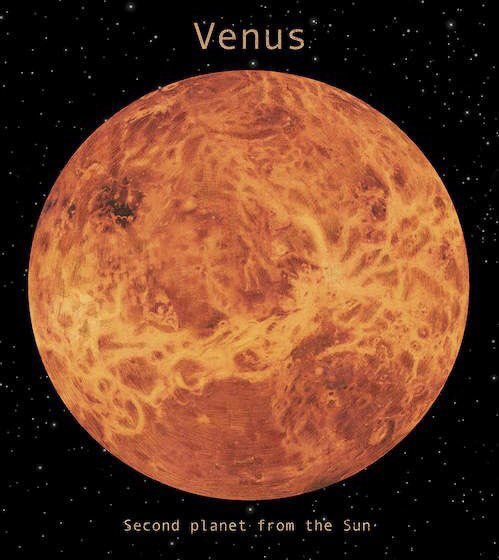 ∝ venus