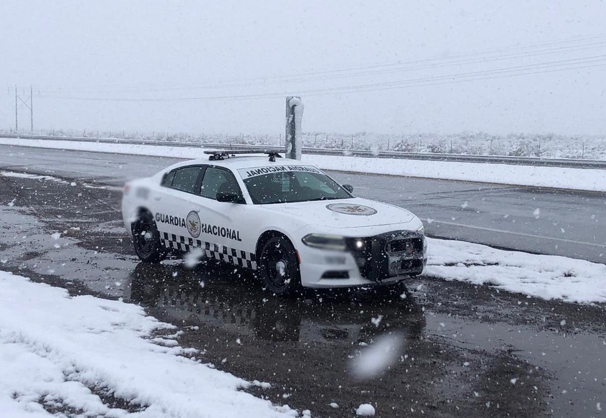 Guardia Nacional Carreteras tweet media