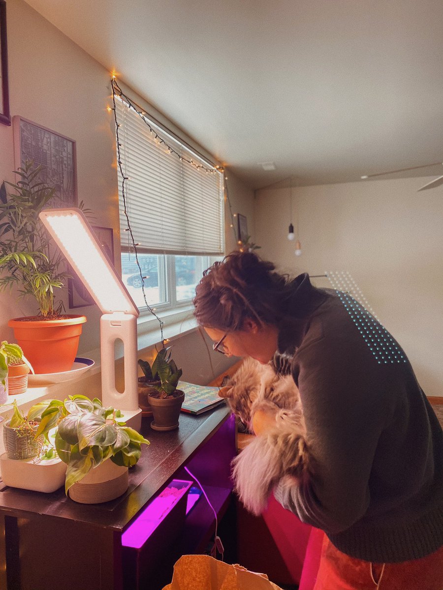 graeconway's tweet photo. We are talking about germination 🌱 https://t.co/Uv0MSwrOvO