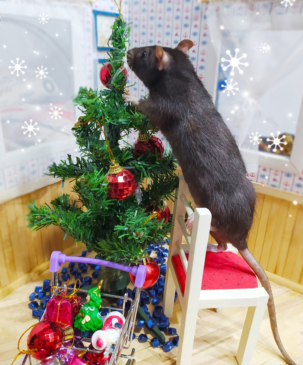 It's time to dress up the Christmas tree!!😄🐭🎄✨
#HappyNewYear2021
