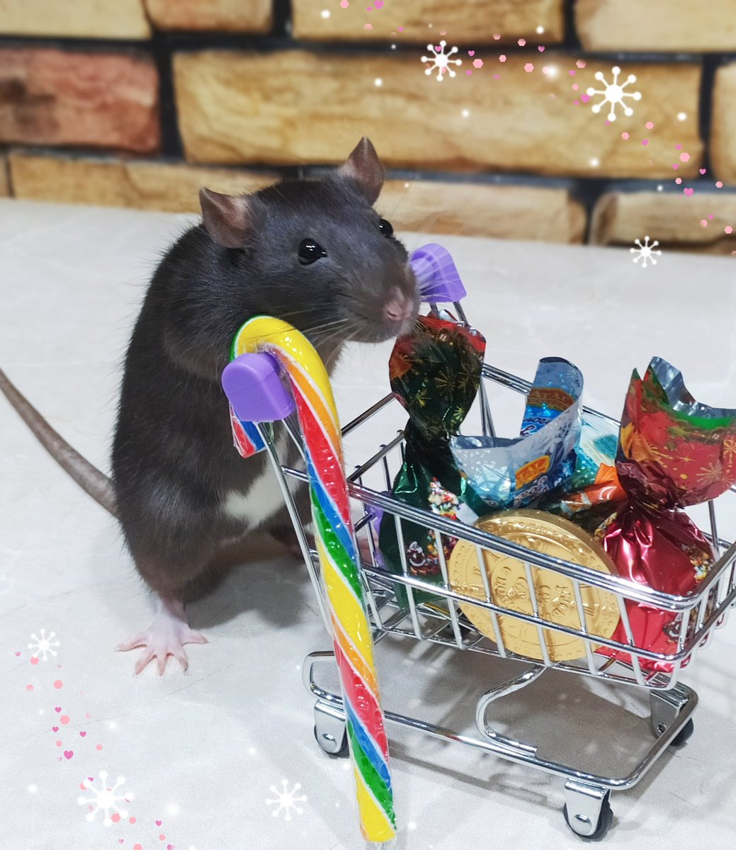 Christmas candies🐭🛒🍬🍭
#HappyNewYear2021