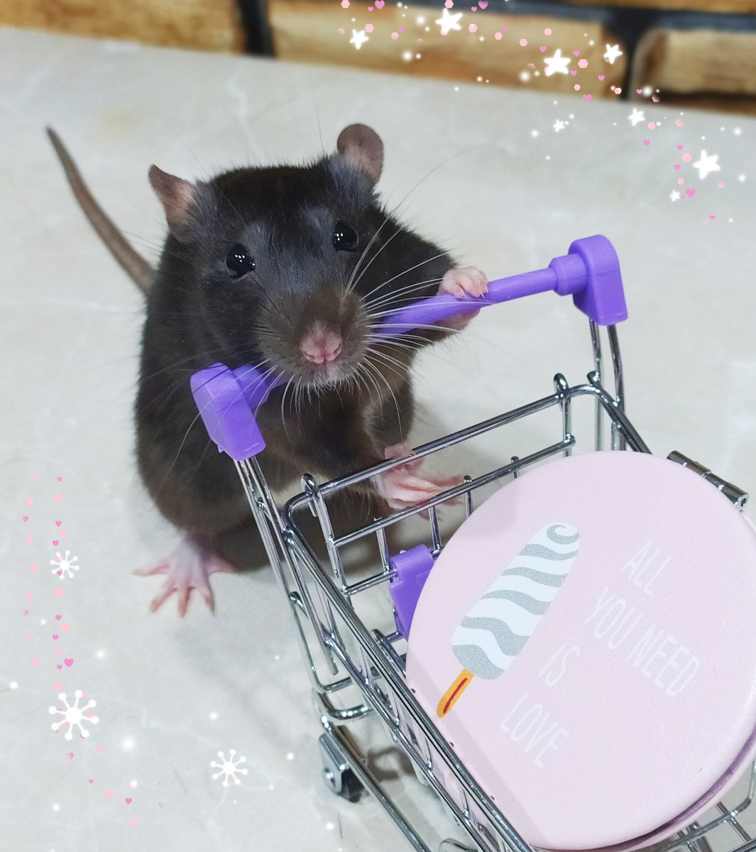 All you need is love💖💖🐭💖💖
#HappyNewYear2021