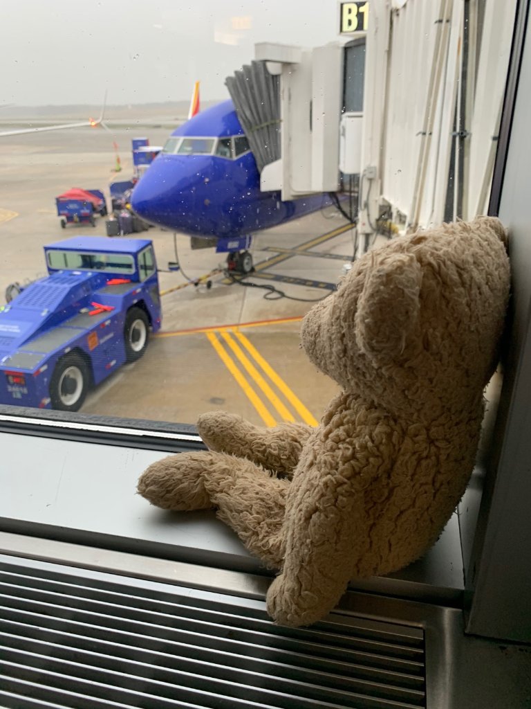 Southwest Airlines tweet media