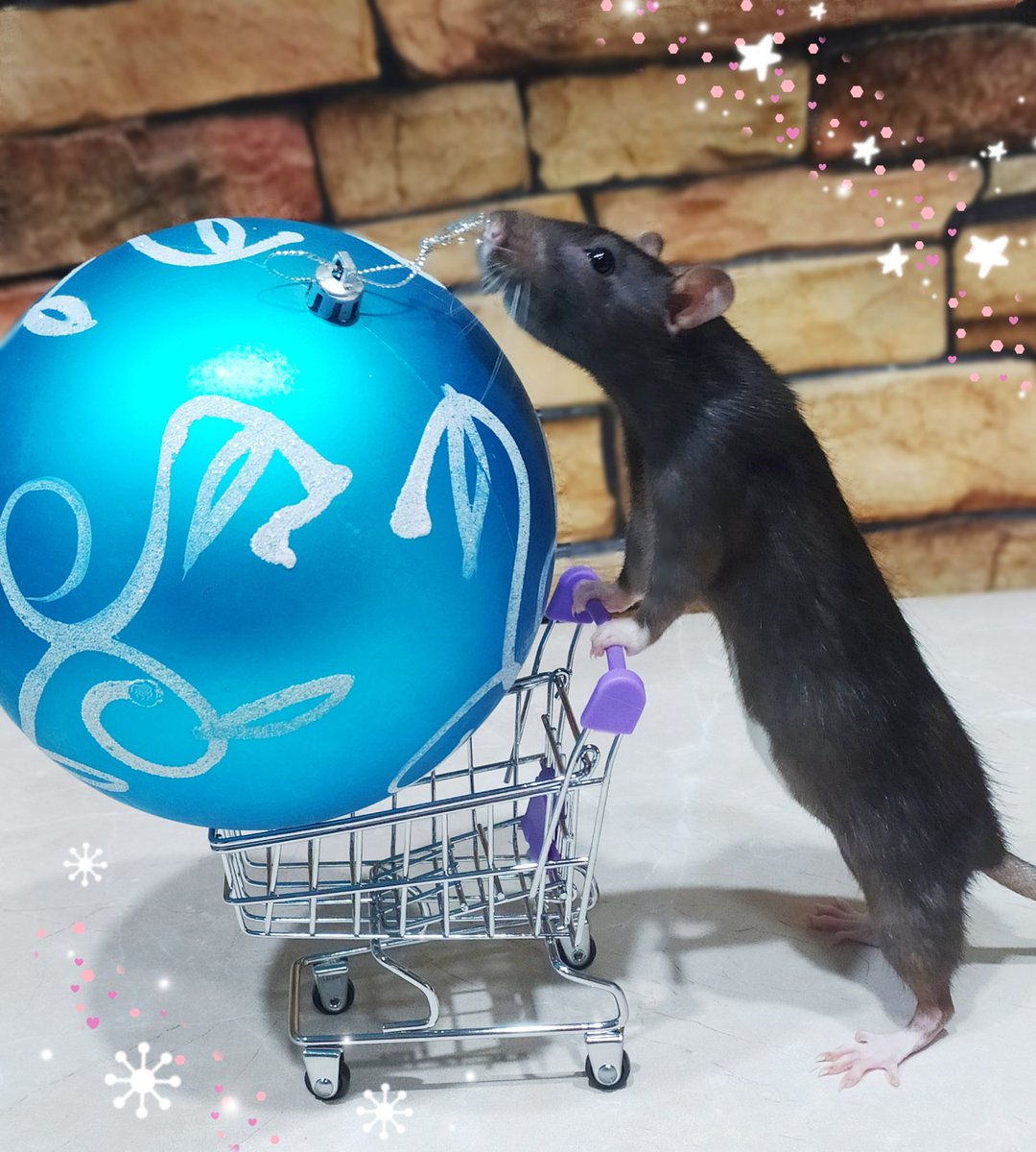 Sale!!😄🐭🎄🔮
#HappyNewYear2021