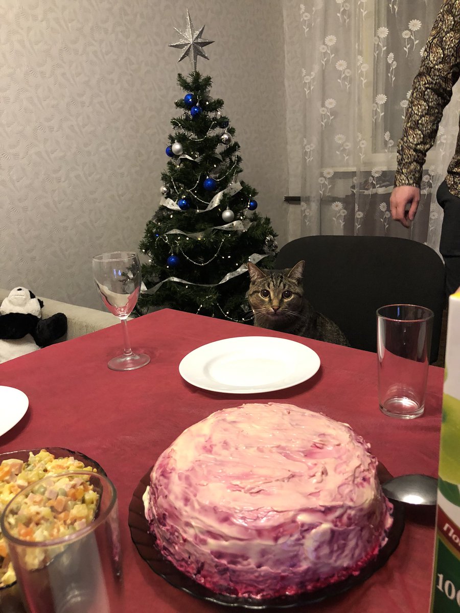 ZININA_14's tweet photo. А он все голодный 😀 https://t.co/5v416fXaWY