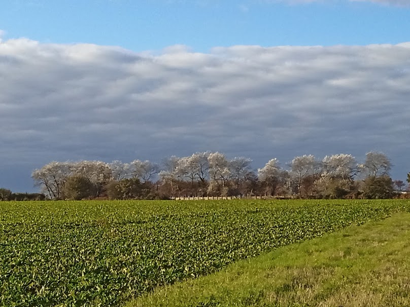 Harvest and autumn brought change only to the scenery as the restrictions continued...