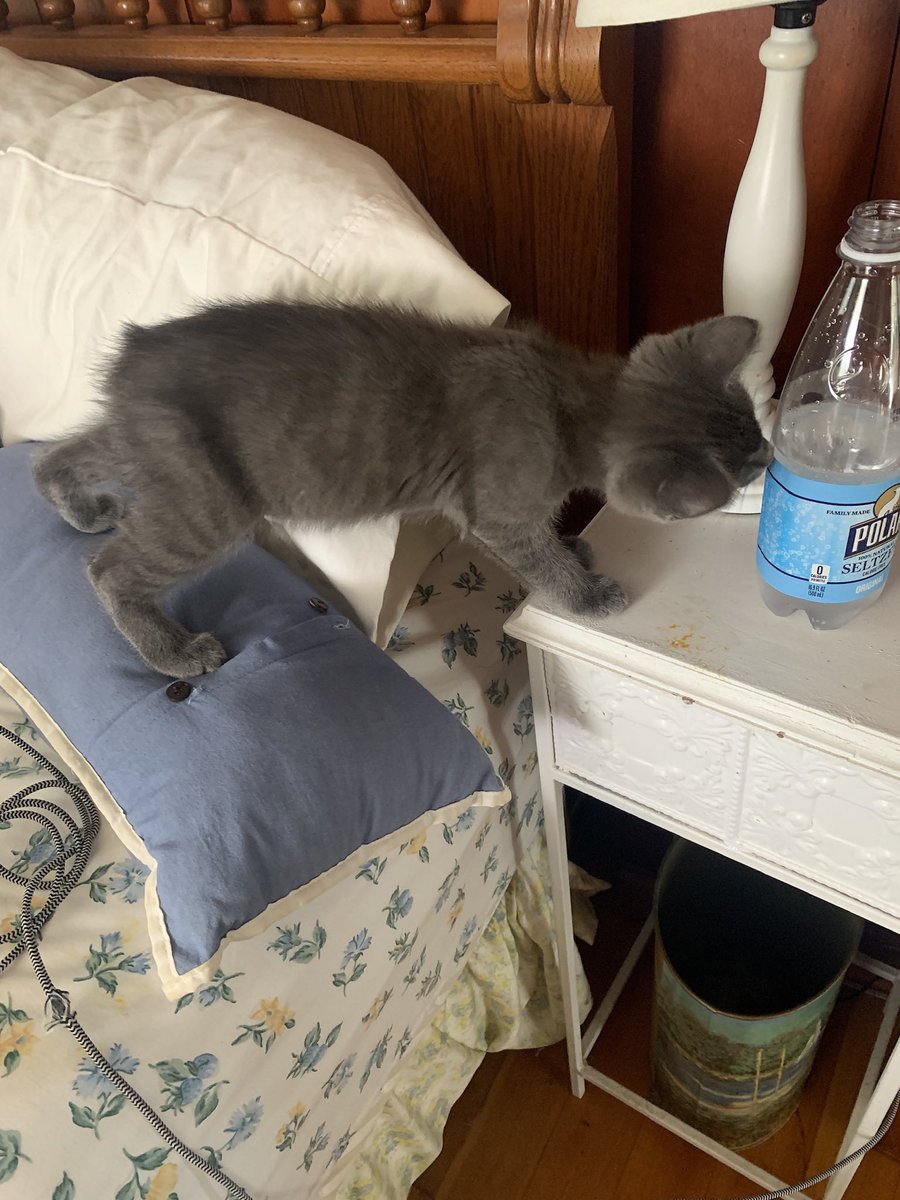 mine forst day wif momb