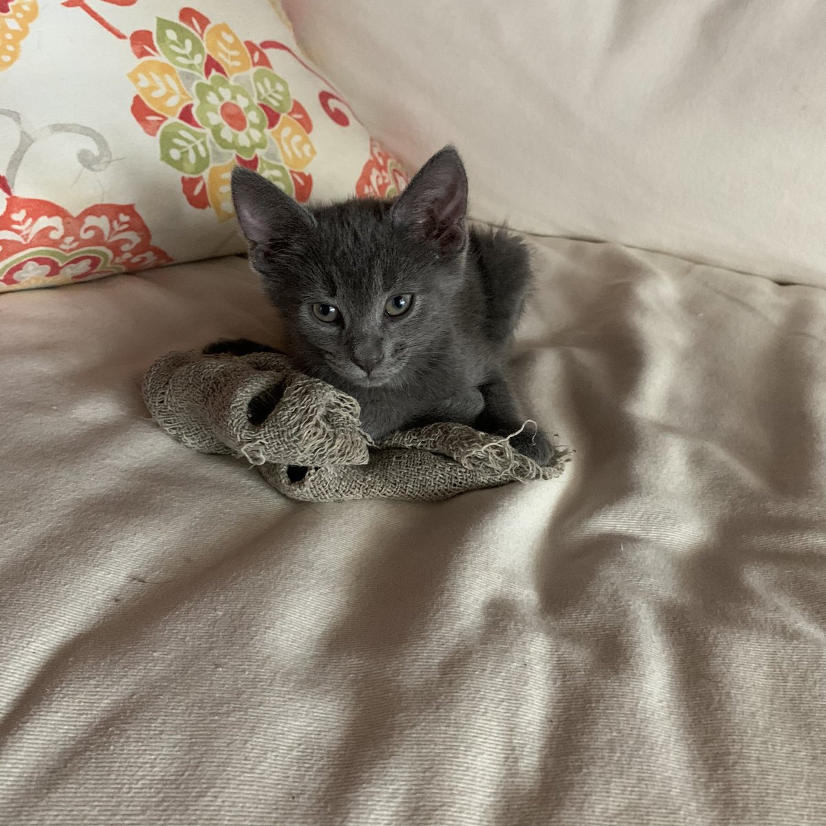 sleeb on momb blanky