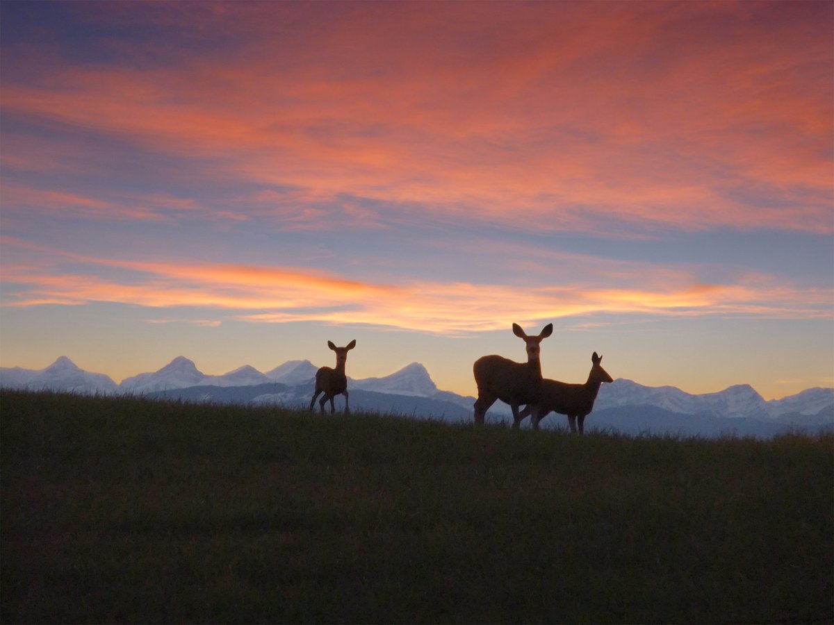 Paul Birnie tweet media