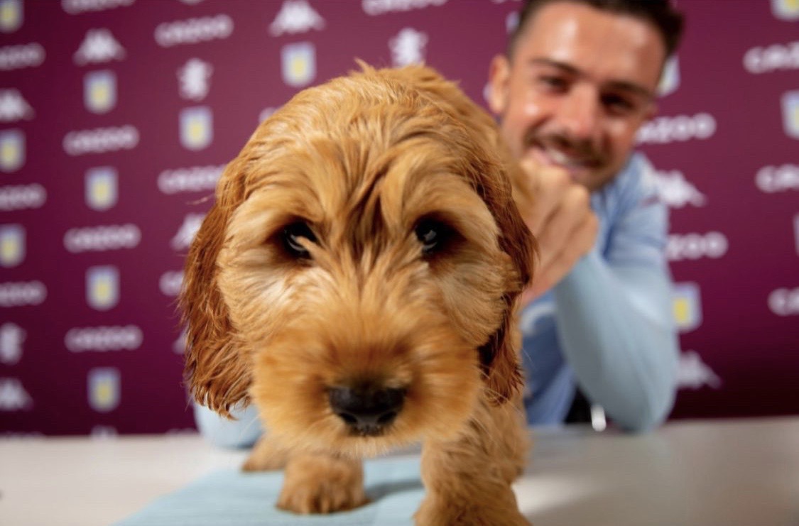 AstonVilla tweet picture