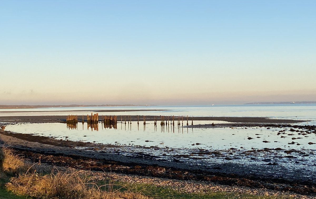 LymWild's tweet photo. My marsh walk @essentialimages @LymoTweetUp. A full moon gave exceptionally low tides: I always like lower shore exposure. Saw Ferruginous duck, great grey shrike, godwit, countless oystercatchers, many egret, large heron &amp; a MARSH HARRIER! Told you it was lovely @Heritagelocum https://t.co/TgbMINBf3z