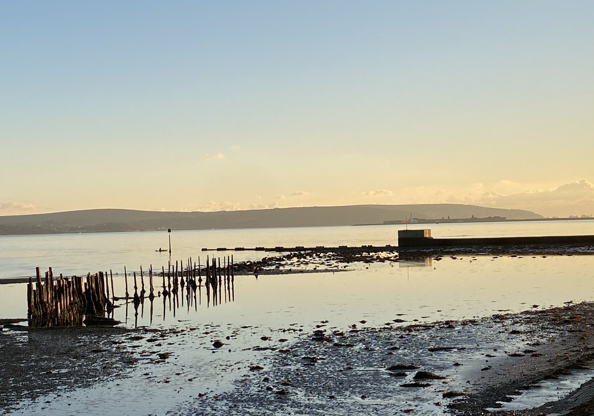LymWild's tweet photo. My marsh walk @essentialimages @LymoTweetUp. A full moon gave exceptionally low tides: I always like lower shore exposure. Saw Ferruginous duck, great grey shrike, godwit, countless oystercatchers, many egret, large heron &amp; a MARSH HARRIER! Told you it was lovely @Heritagelocum https://t.co/TgbMINBf3z
