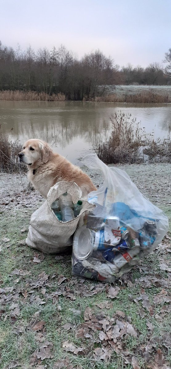 oxenham_clare's tweet photo. New years eve #riverbankclean Never ending litter along the jubilee river  #singleuseplasticbottles #cans #takeawaylitter #fishingline  @CleanJRnow @EnvAgency https://t.co/lxhEHCHUQ6