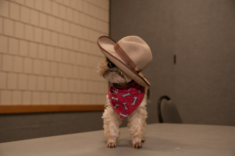 To 2020 we say, “so long, partner“! Wishing all our friends around the world health and happiness in the New Year.