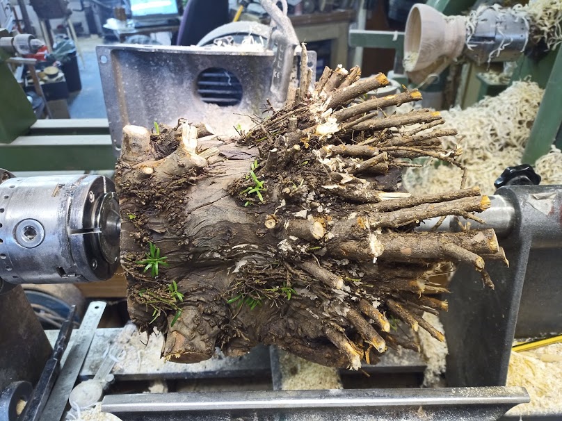 Unlike the crappy year, some crappy looking things produced some (hopefully) not crappy things...