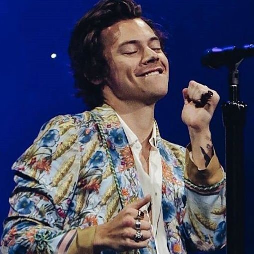 Louis Adidas beside Harry's Gucci suits outfits..~A thread~