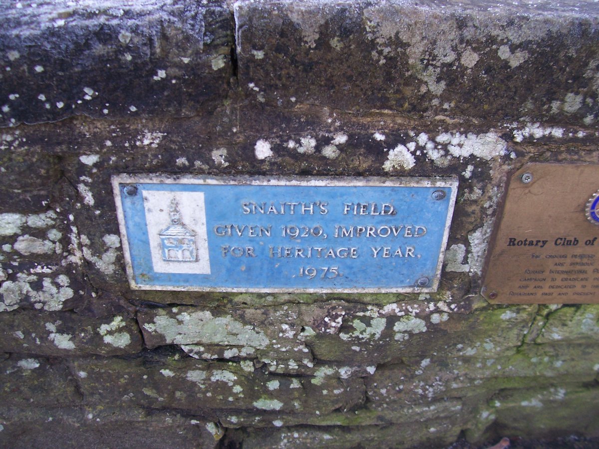 Snaiths Field celebrated its centenary in 2020, to zero fanfare. I'm convinced that, decades ago, there was a blue plaque on this wall - but I can't remember why, and I'm assuming it might be underneath the ivy now! I put my best investigator on the case.  #yarmmicrohistory