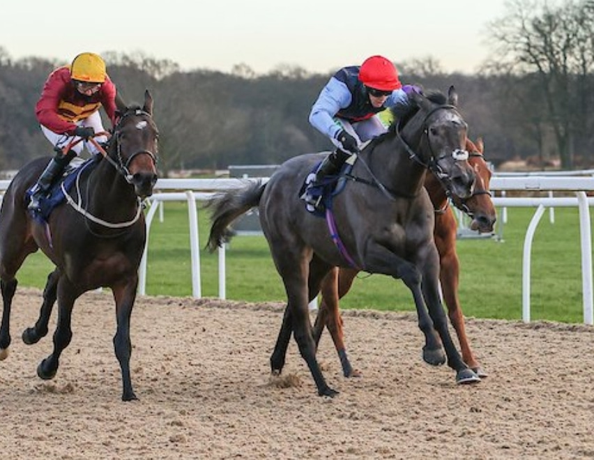 rob_speers's tweet photo. Bought with @philippamains for just 8,000gns from @Tattersalls1766 Good Soul will make up in to a very nice middle distance filly next year.. she got a great ride from @jasonhart13 thank to @hpalmerracing https://t.co/Fg0BBmxw8o