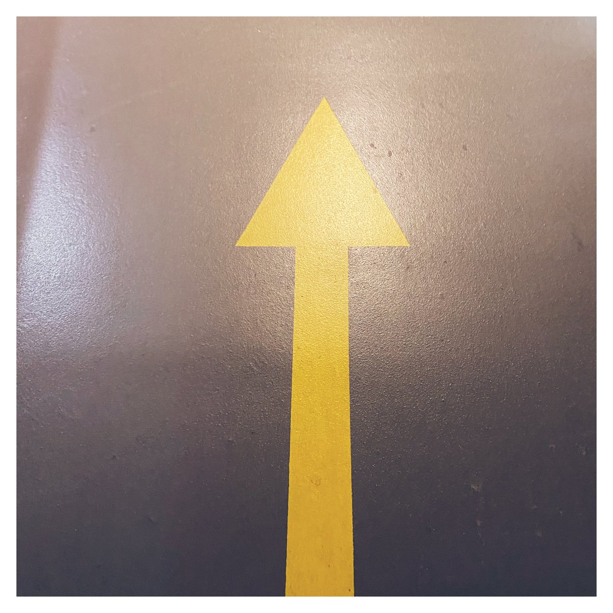 María Valverde tweet media