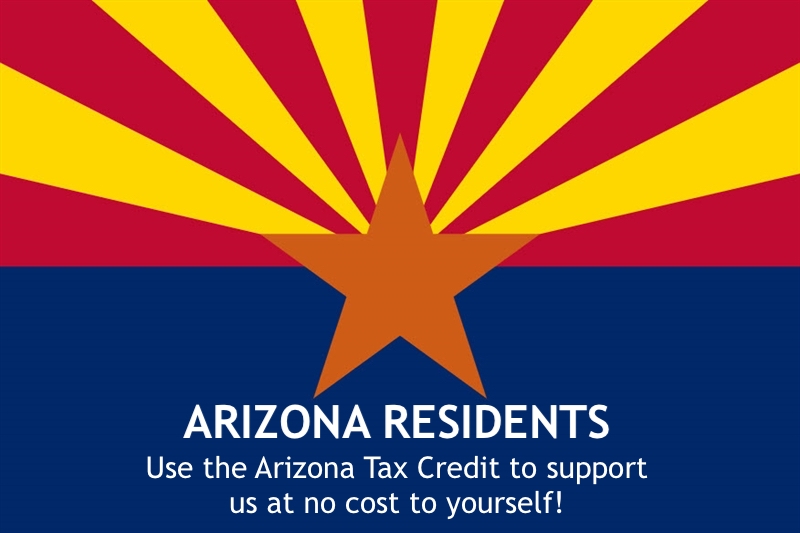 Your Chance to Bless: At no cost to yourself, keep up to $800 of your Arizona personal income taxes right here in our community, helping Boys to Men Tucson! - mailchi.mp/0cb9fe0ae530/y…