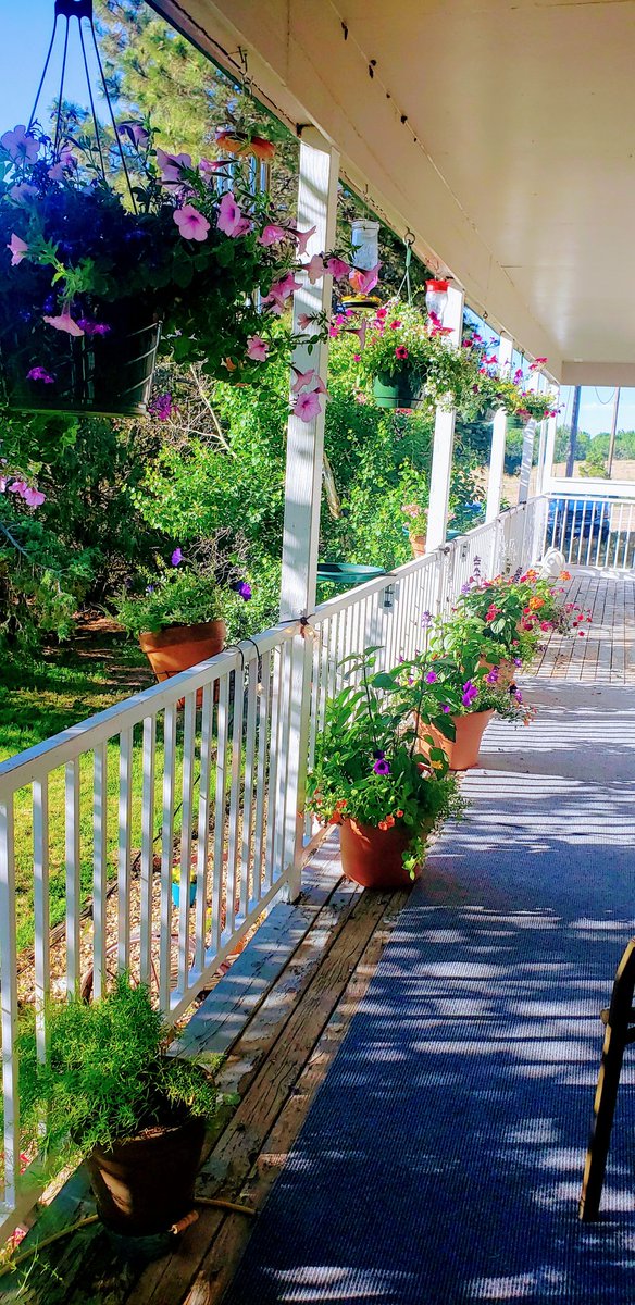 bertx2's tweet photo. @srkitchengarden By July my deck flowers exploded. This was the beginning of June https://t.co/kyTHac1O1q